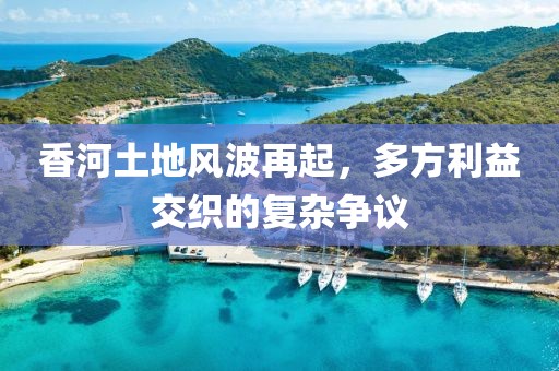 有梦想 第32页
