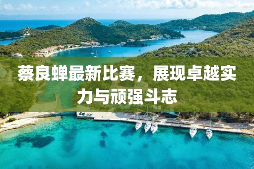 蔡良蝉最新比赛，展现卓越实力与顽强斗志