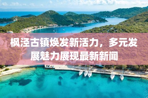 枫泾古镇焕发新活力，多元发展魅力展现最新新闻