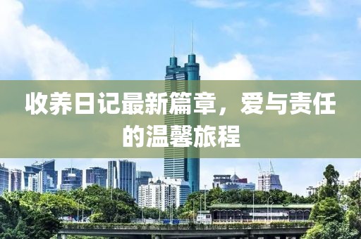 收养日记最新篇章，爱与责任的温馨旅程