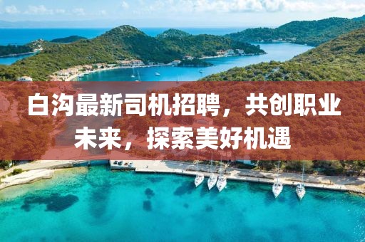 白沟最新司机招聘，共创职业未来，探索美好机遇