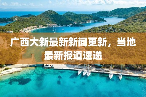 广西大新最新新闻更新，当地最新报道速递