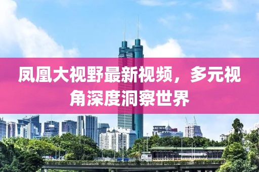 凤凰大视野最新视频，多元视角深度洞察世界