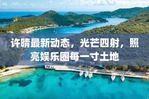 许晴最新动态，光芒四射，照亮娱乐圈每一寸土地