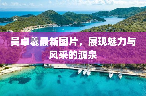 吴卓羲最新图片，展现魅力与风采的源泉