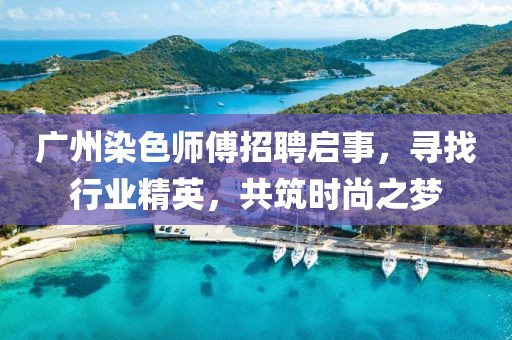 广州染色师傅招聘启事，寻找行业精英，共筑时尚之梦