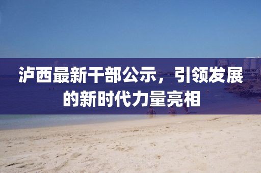 泸西最新干部公示，引领发展的新时代力量亮相