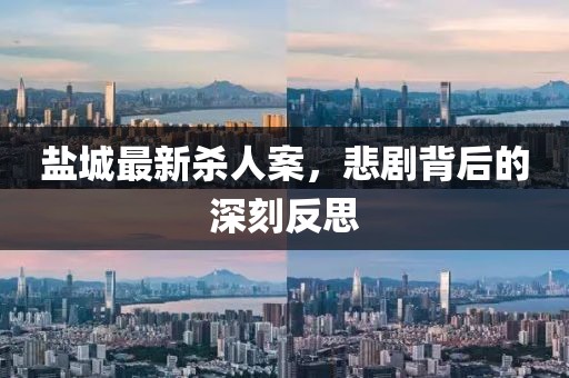 盐城最新杀人案，悲剧背后的深刻反思