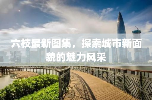 六枝最新图集，探索城市新面貌的魅力风采