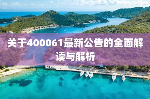 关于400061最新公告的全面解读与解析