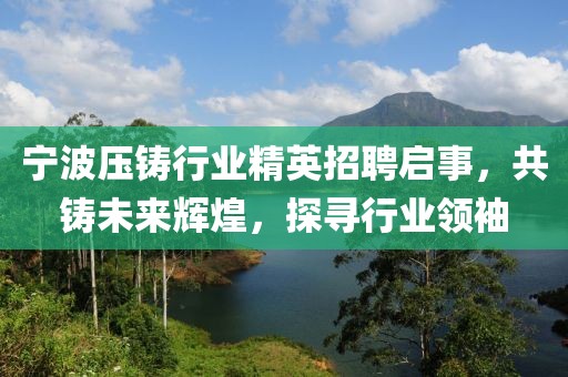 宁波压铸行业精英招聘启事，共铸未来辉煌，探寻行业领袖