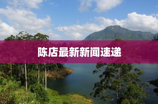 陈店最新新闻速递