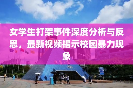 女学生打架事件深度分析与反思，最新视频揭示校园暴力现象