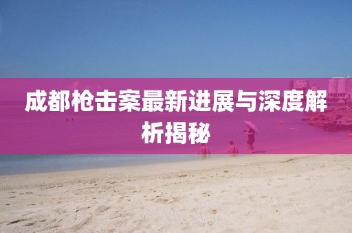 成都枪击案最新进展与深度解析揭秘