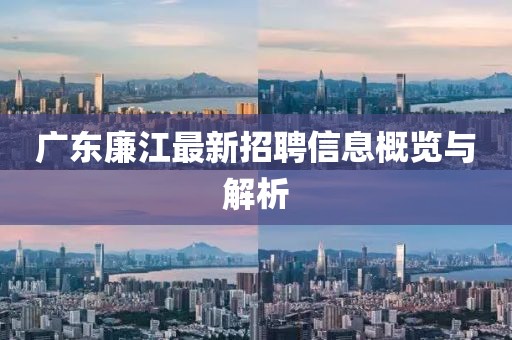 广东廉江最新招聘信息概览与解析