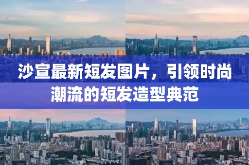 有梦想 第30页
