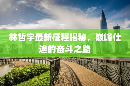 林哲宇最新征程揭秘，巅峰仕途的奋斗之路