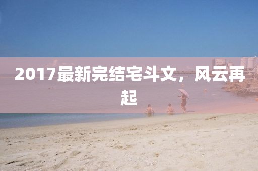 2017最新完结宅斗文，风云再起