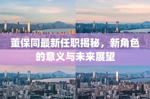 董保同最新任职揭秘，新角色的意义与未来展望