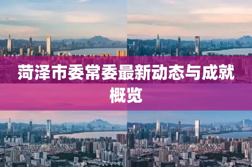 菏泽市委常委最新动态与成就概览