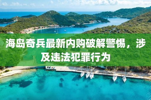 海岛奇兵最新内购破解警惕，涉及违法犯罪行为