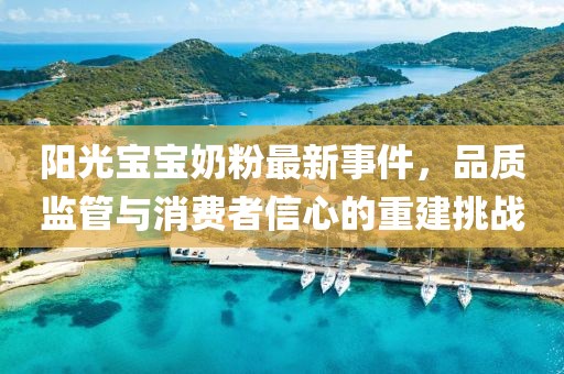 阳光宝宝奶粉最新事件，品质监管与消费者信心的重建挑战
