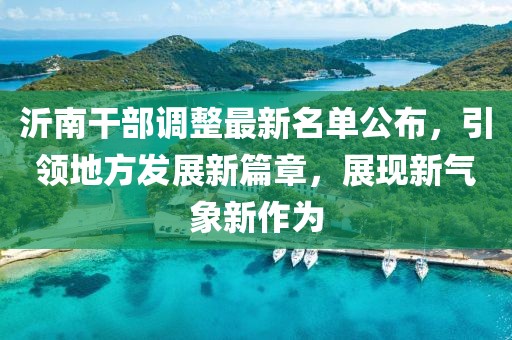 沂南干部调整最新名单公布，引领地方发展新篇章，展现新气象新作为