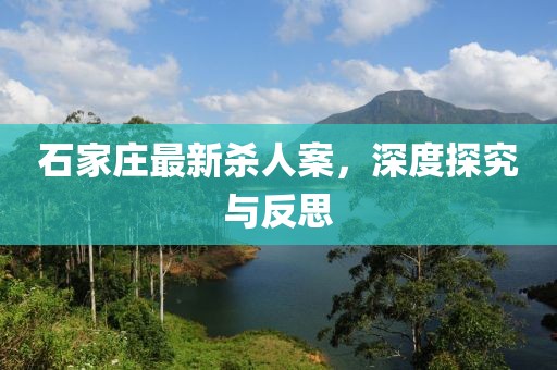 石家庄最新杀人案，深度探究与反思