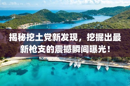 揭秘挖土党新发现，挖掘出最新枪支的震撼瞬间曝光！
