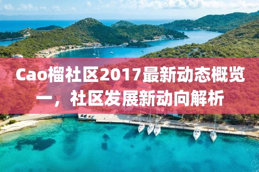 Cao榴社区2017最新动态概览一，社区发展新动向解析