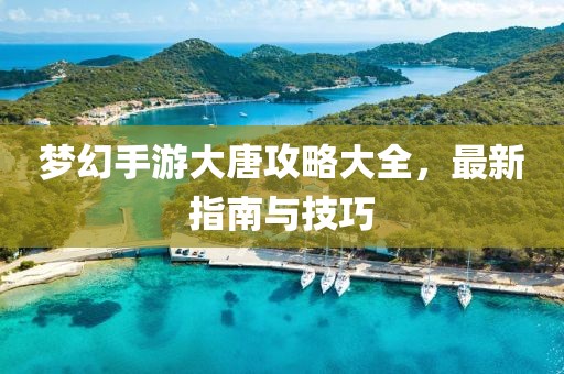 梦幻手游大唐攻略大全，最新指南与技巧