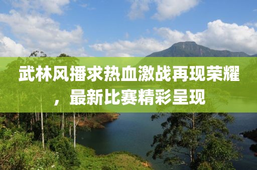 武林风播求热血激战再现荣耀，最新比赛精彩呈现