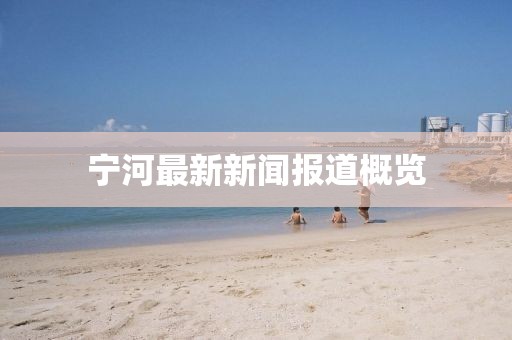 宁河最新新闻报道概览