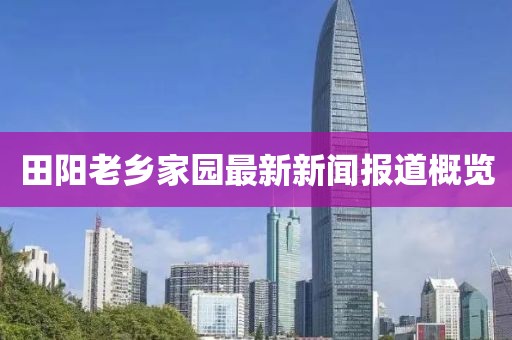 田阳老乡家园最新新闻报道概览