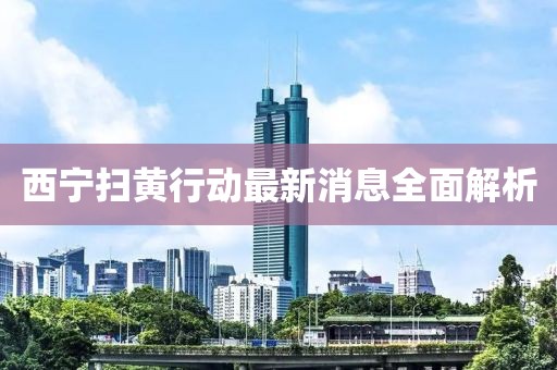 西宁扫黄行动最新消息全面解析