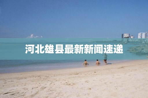河北雄县最新新闻速递