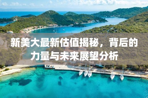 新美大最新估值揭秘，背后的力量与未来展望分析