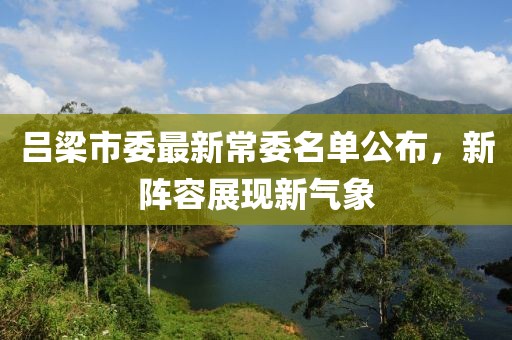 吕梁市委最新常委名单公布，新阵容展现新气象