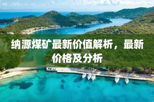 纳源煤矿最新价值解析，最新价格及分析
