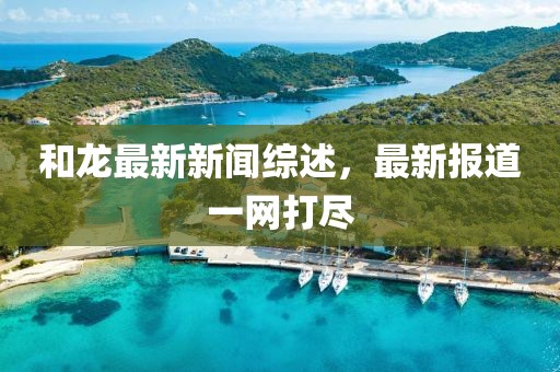 树袋熊 第34页