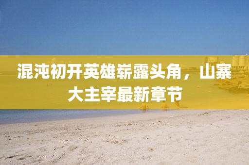 混沌初开英雄崭露头角，山寨大主宰最新章节