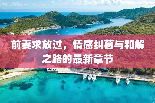 前妻求放过，情感纠葛与和解之路的最新章节