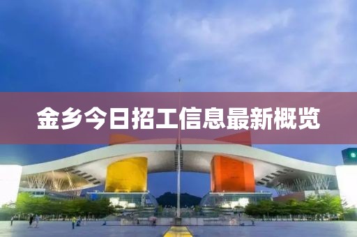 金乡今日招工信息最新概览