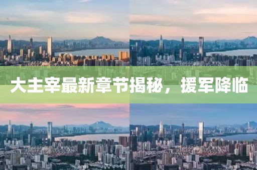 大主宰最新章节揭秘，援军降临