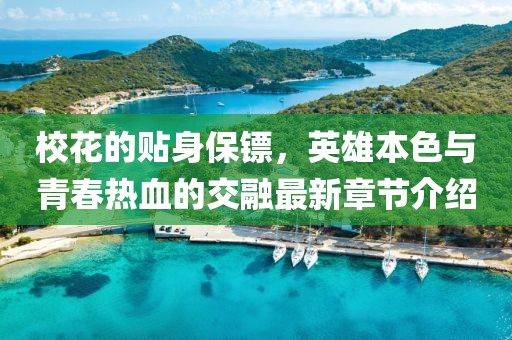 2024年12月 第827页