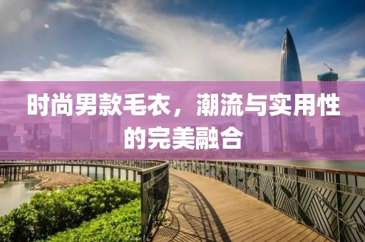 时尚男款毛衣，潮流与实用性的完美融合