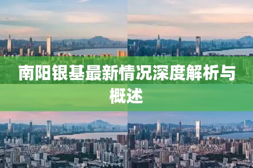 南阳银基最新情况深度解析与概述