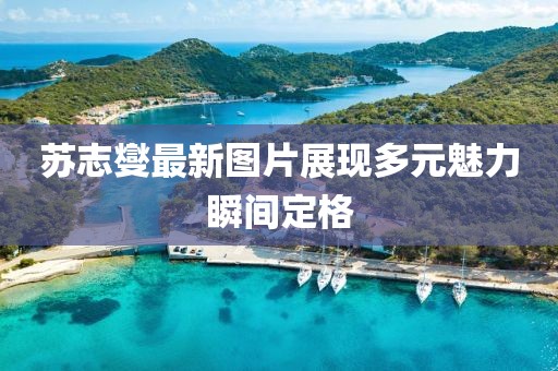 苏志燮最新图片展现多元魅力瞬间定格