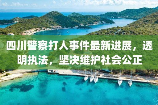 四川警察打人事件最新进展，透明执法，坚决维护社会公正