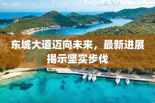 东城大道迈向未来，最新进展揭示坚实步伐